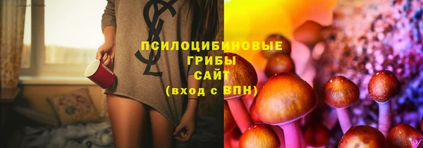ALPHA PVP Приозерск