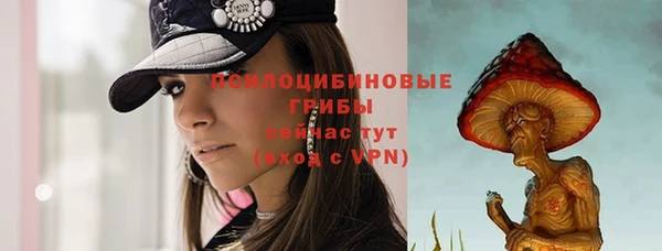 ALPHA PVP Приозерск
