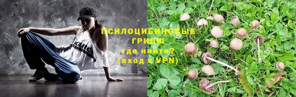МДПВ Пролетарск