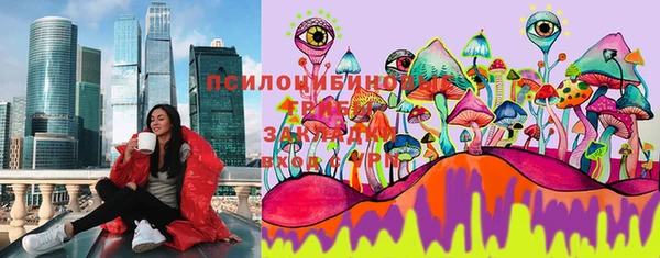 ECSTASY Протвино