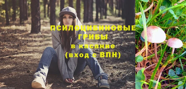 МДПВ Пролетарск