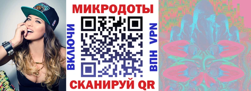 Галлюциногенные грибы Psilocybine cubensis  купить   Руза 